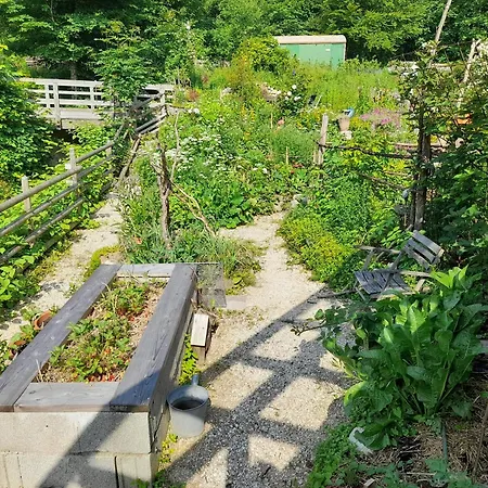 Im Naturgarten 公寓