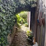Appartement Im Naturgarten