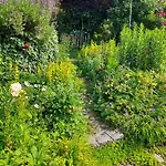 Im Naturgarten Teisendorf