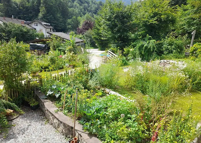 Lejlighed Im Naturgarten *