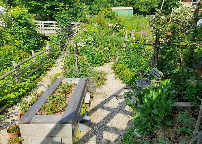 Im Naturgarten アパート